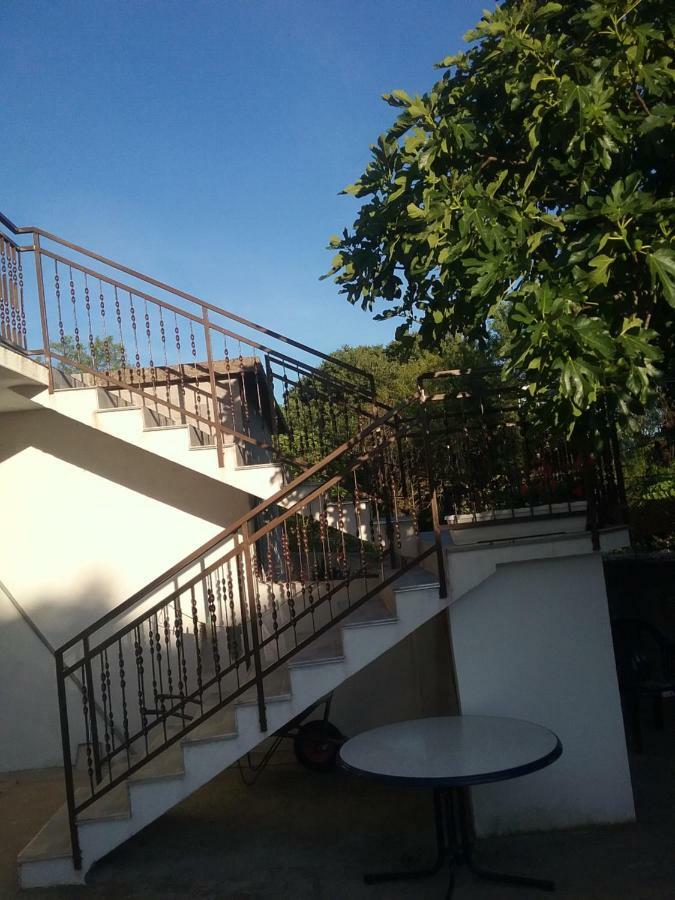 Milda+M Apartment Skradin Exterior photo